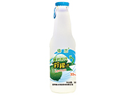 傣恋青柠时代柠檬汁300ml